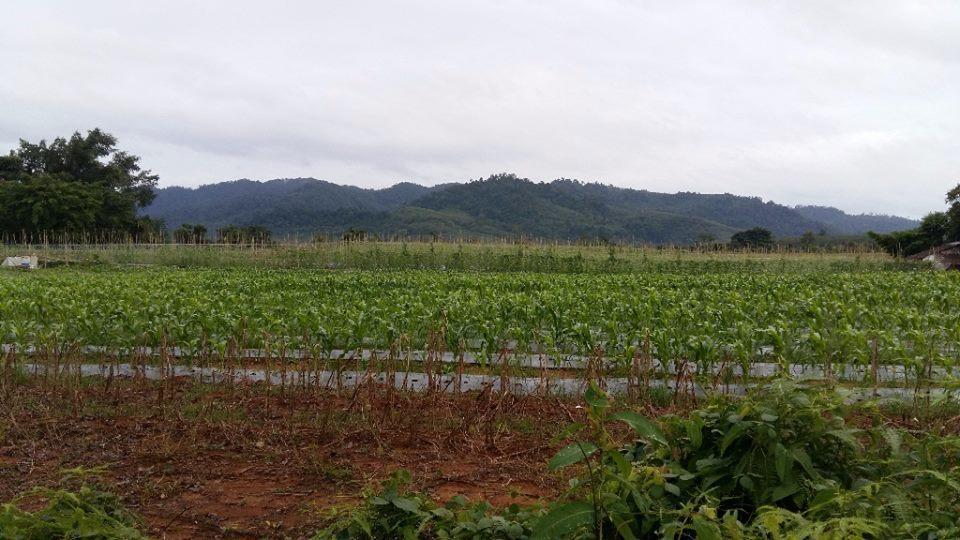 Dachatorn Village Khao Lak Exteriér fotografie